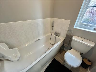 Picture 23